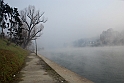 Nebbia 14_01_2011 - Il Po_17